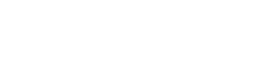 The Brain Observatory logo